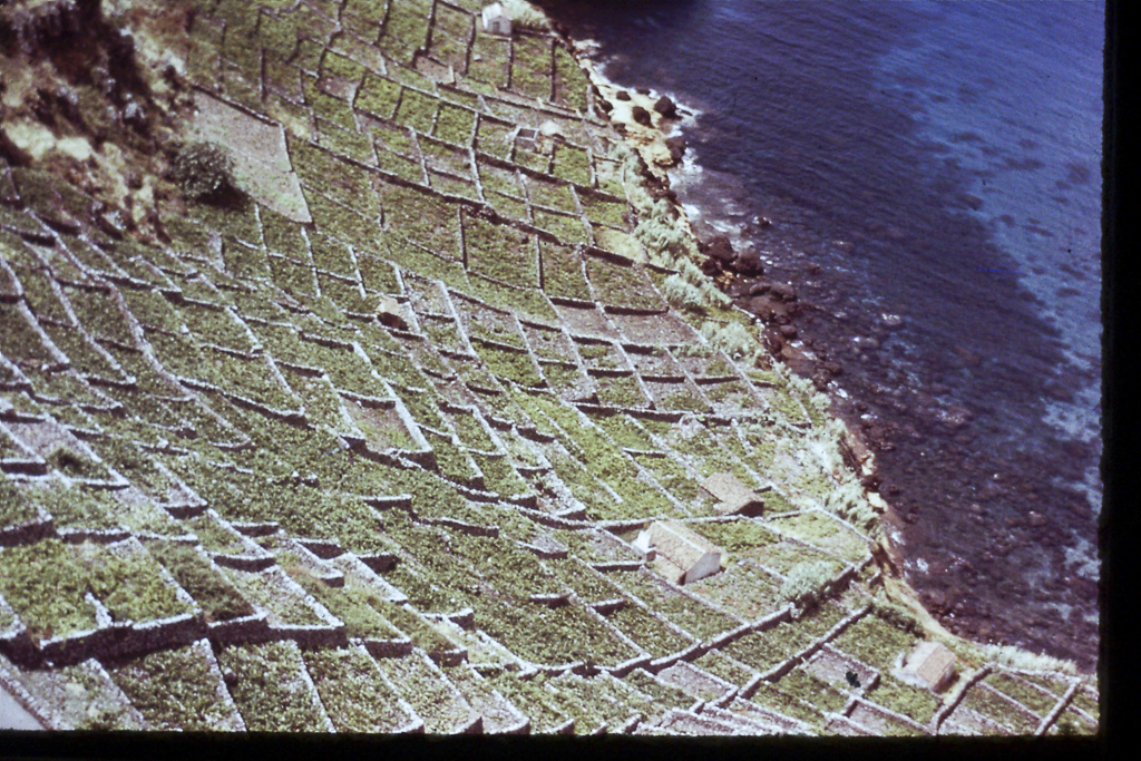 9. Cratera de São Lourenço (Santa Maria)