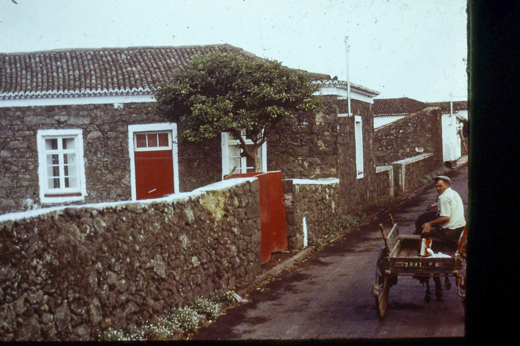 98. Arrifes (São Miguel)