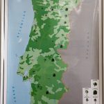 (RF 682) Portugal – Distribuição da Floresta