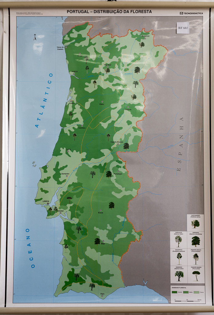 (RF 682) Portugal – Distribuição da Floresta