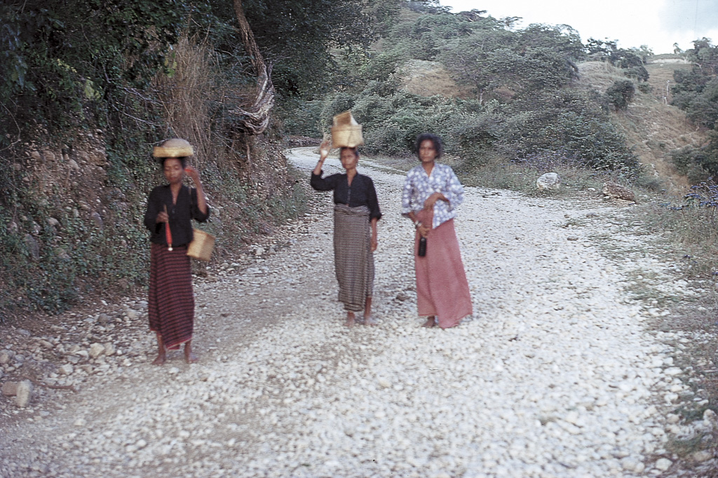 A caminho do bazar (1972)