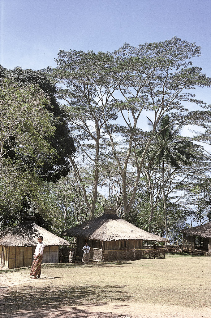Ainaro - Fazenda de café (1972)