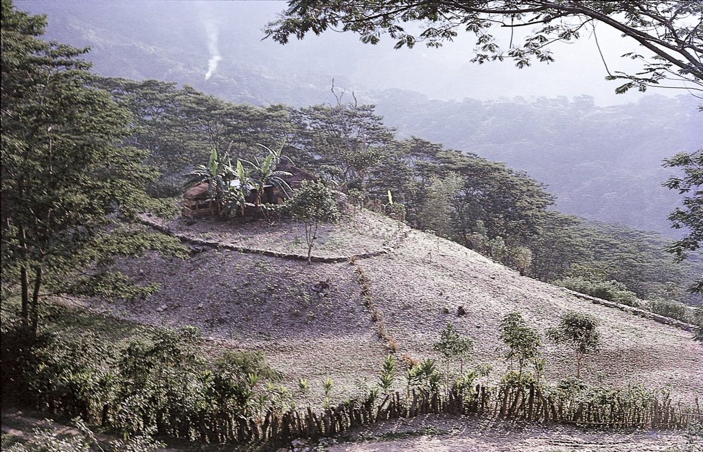 Ainaro - habitações familiares, junto a plantações de café (1972)