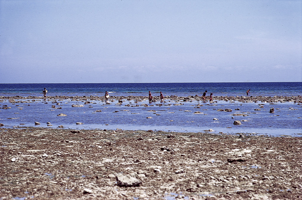 Apanha de marisco, na maré vazia (1972)