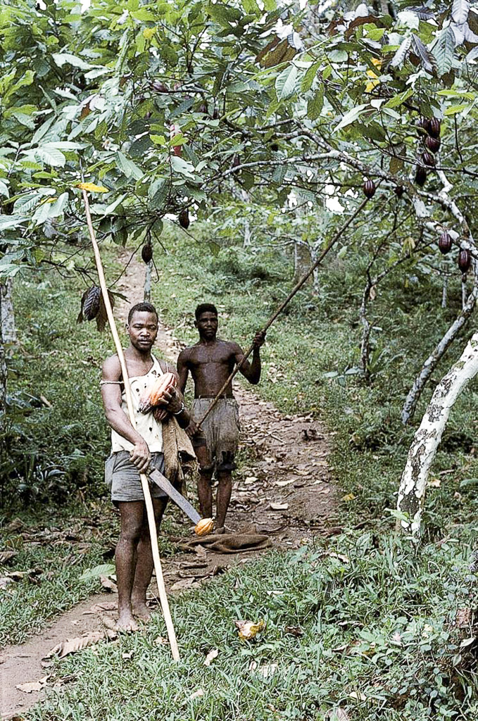 Apanhadores de cacau (1965)