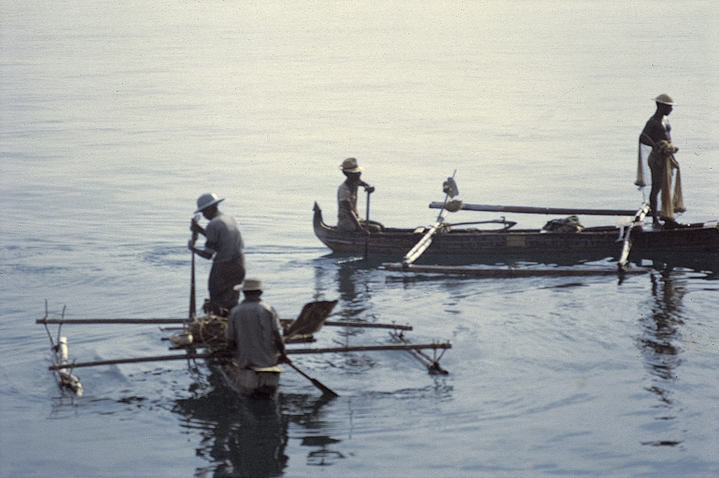 Baía de Dili - na faina da pesca (1971)