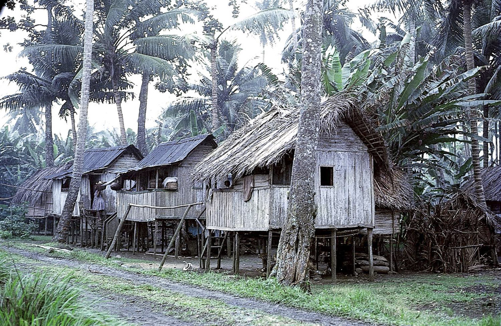 Cabanas de pescadores, como sempre, assentes sobre pilares (1965)