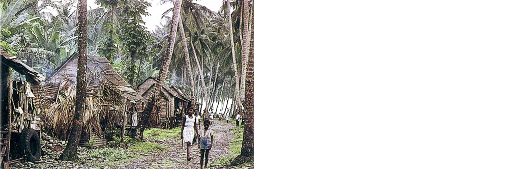 Cabanas de pescadores e palmares, São Tomé (1965)
