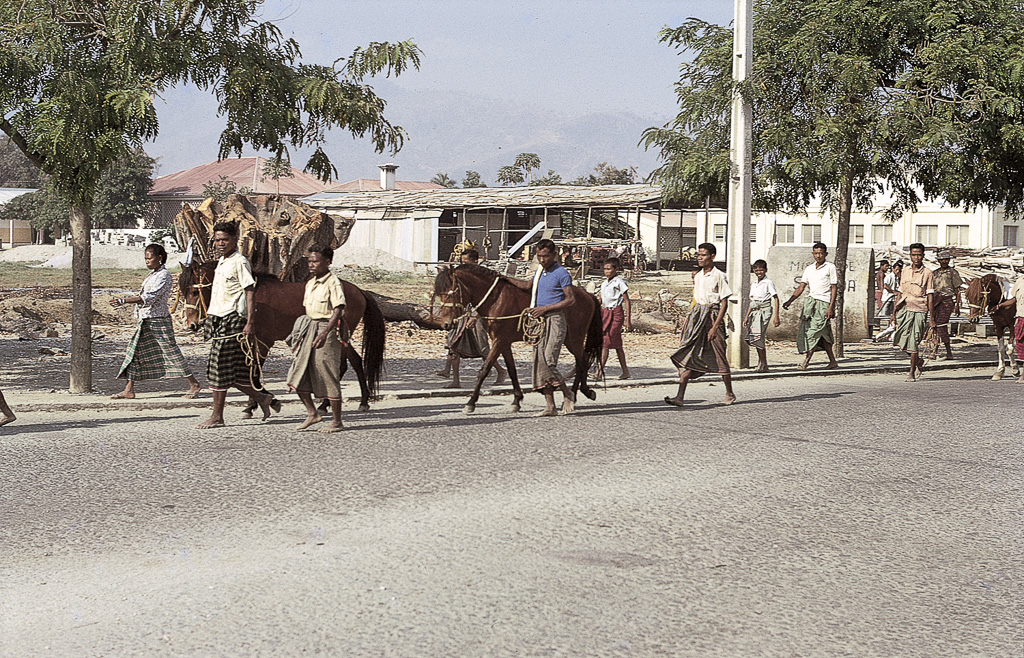 Cavalos a caminho do bazar uns só carregam, outros serão vendidos (1972)