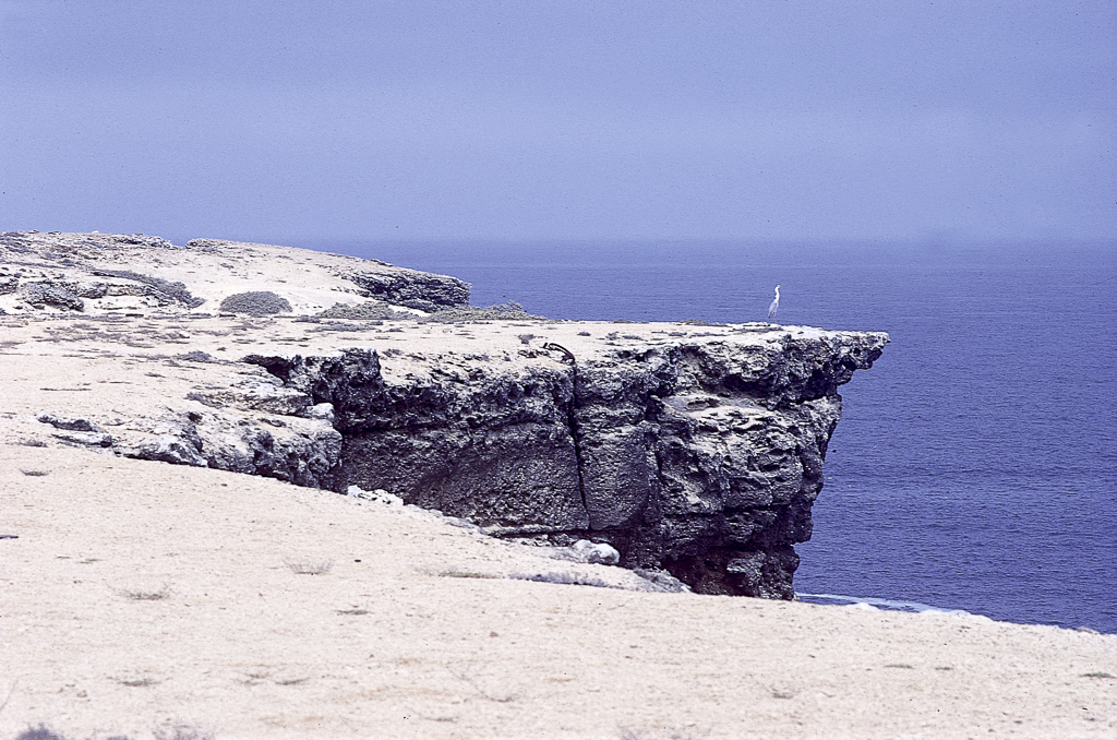 Deserto de Moçamedes – perto da Baía dos Tigres (1967)