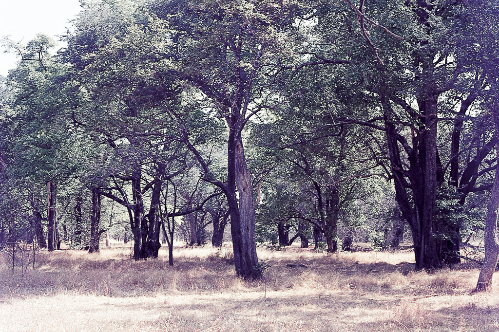 Evanda do Cunene - Angola (1968)