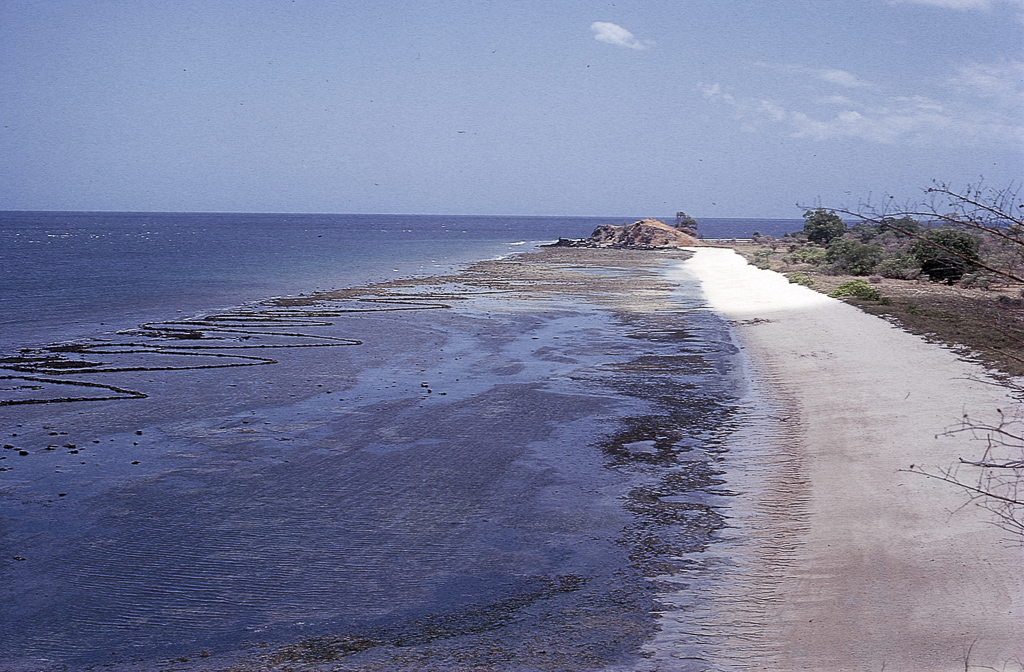 Gamboas de coral para apanha de peixe (1972)