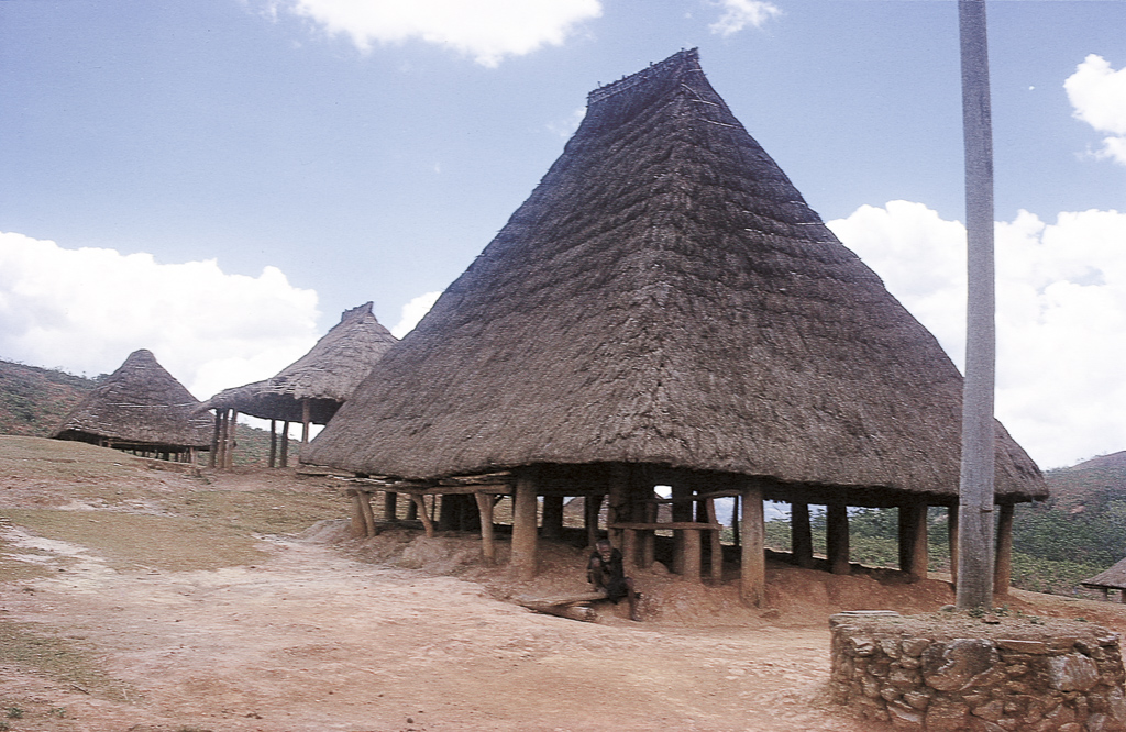 Habitação de meia montanha, com cobertura muito densa (1973)