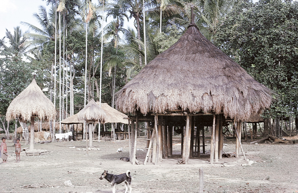 Habitação e celeiros construídos sobre altos pilares (1972)
