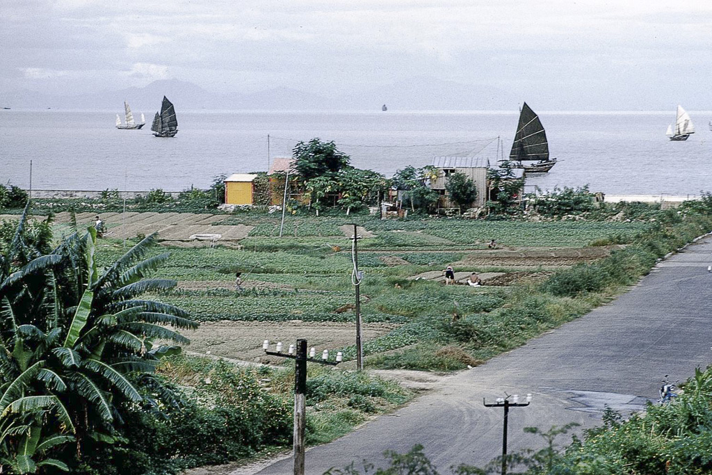 Hortas e barcos (1961)