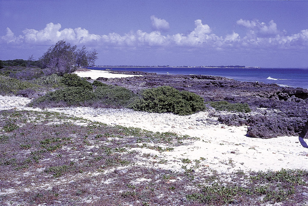 Ilha de Sena plataforma de coral - Moçambique (1969)