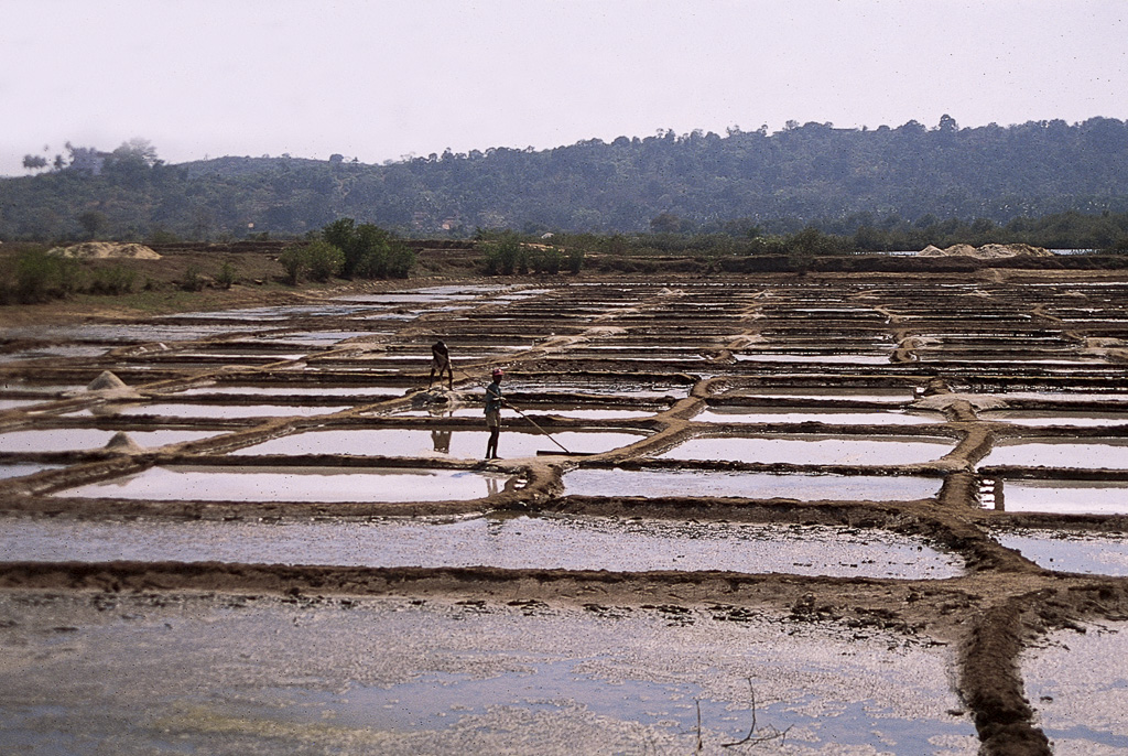 Ilhas, Santa Cruz – salinas (1996)
