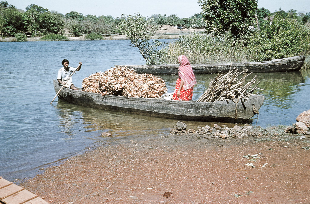 Ilhas – transporte de produtos para o mercado (1956)