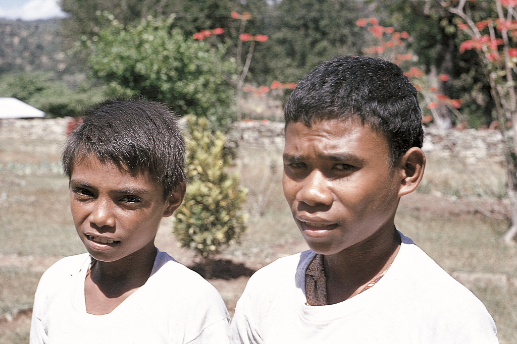 Meninos de Bobonaro (1972)