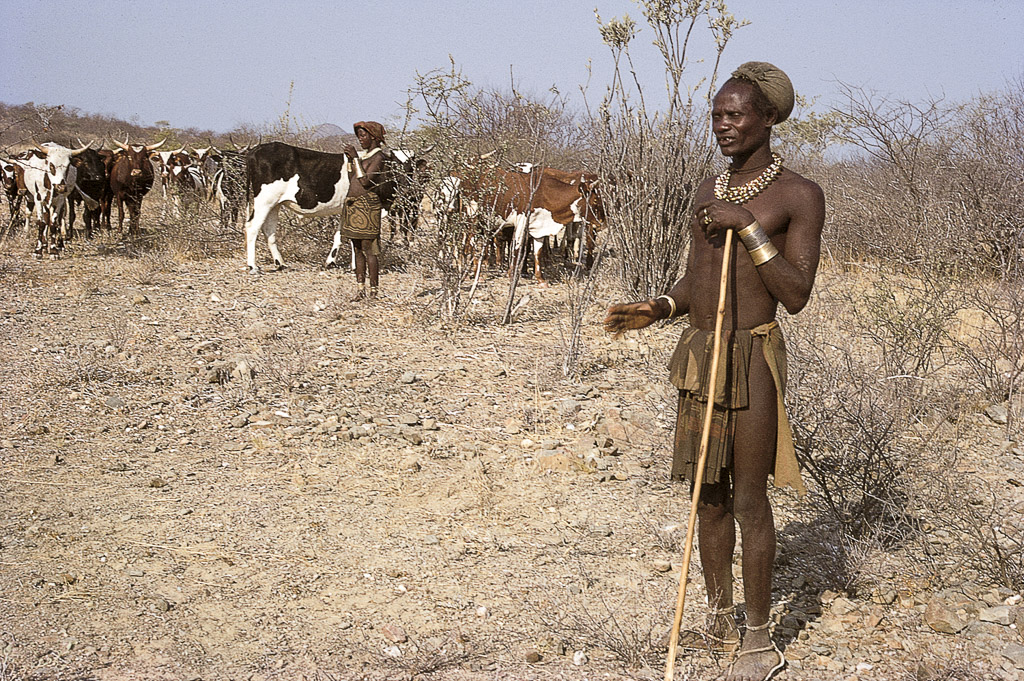 Mucubais vigiando o gado (1968)