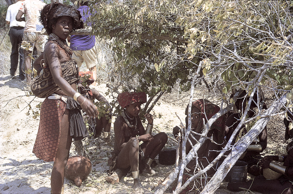 Muílas descansando - Angola (1967)