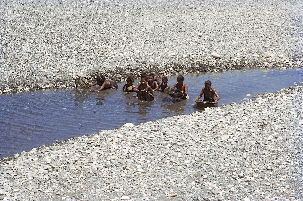 Mulheres apanhando peixe no rio (1972)