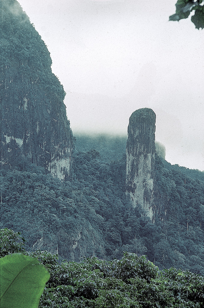 Neck descarnado - Principe (1965)