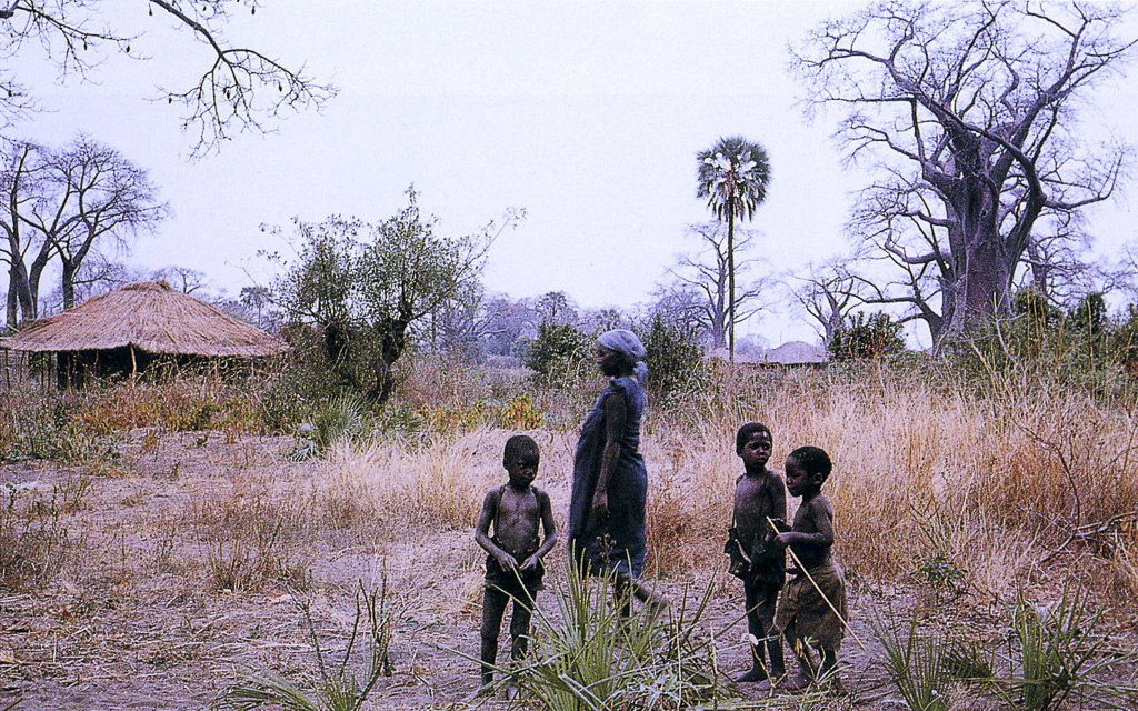 N´Gôo – campos e casas da aldeia (1963)