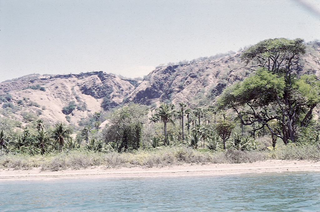 Oecussi - floresta rala bordejando a costa (1972)