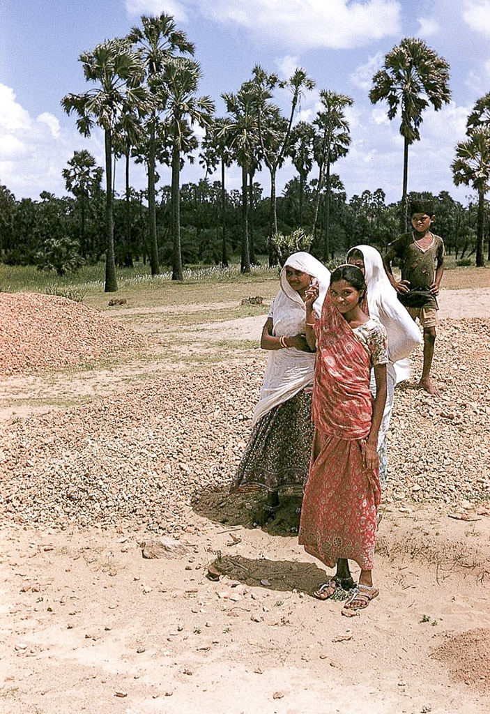 Paisagem típica a Oeste da Ilha (1955)
