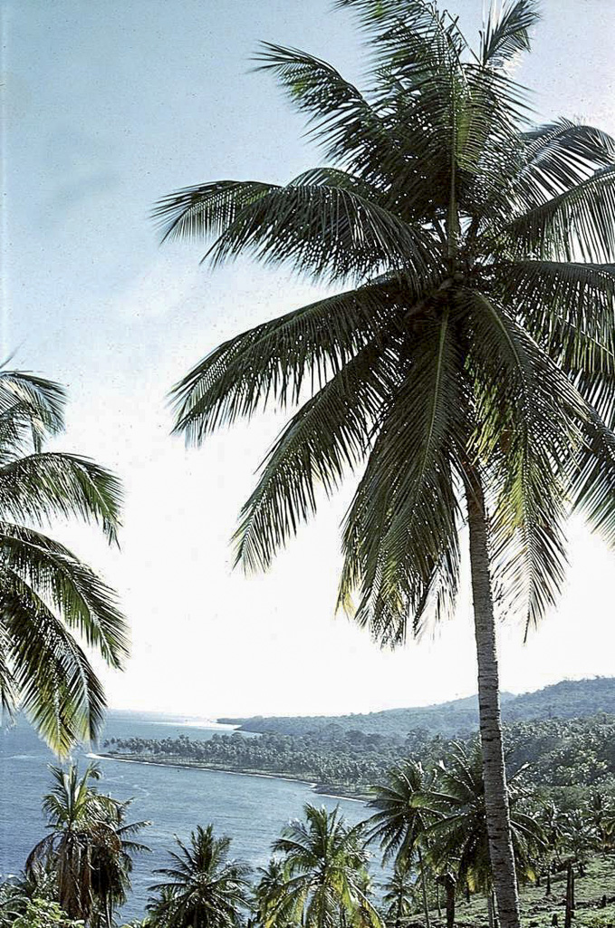 Palmares envolvem quase toda a costa de São Tomé (1965)