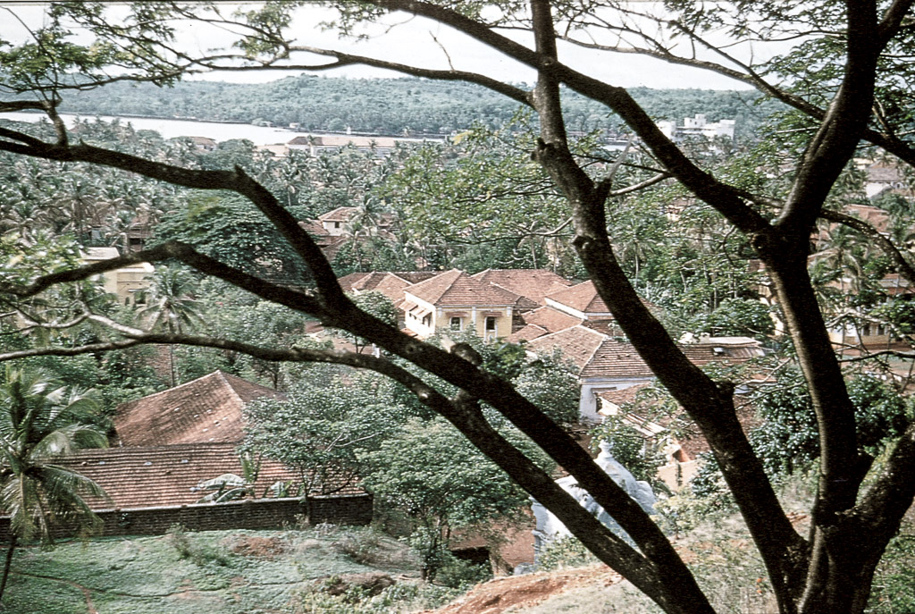 Pangim – vista parcial, tirada do Altinho (1956)