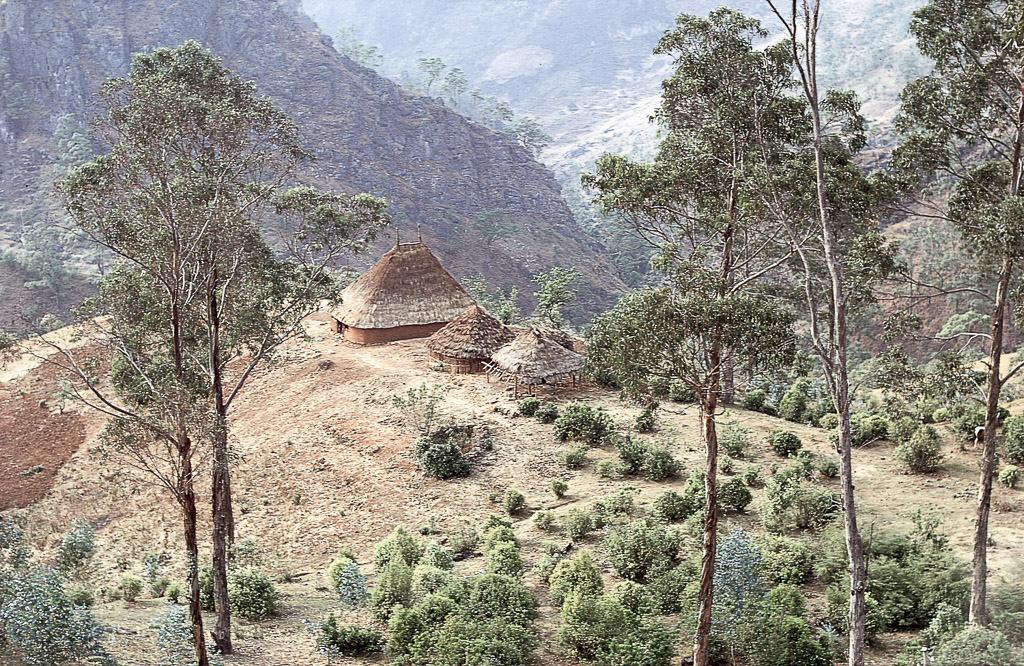 Pequeno conjunto familiar, no topo de uma colina e de terras de horta seca (1972)