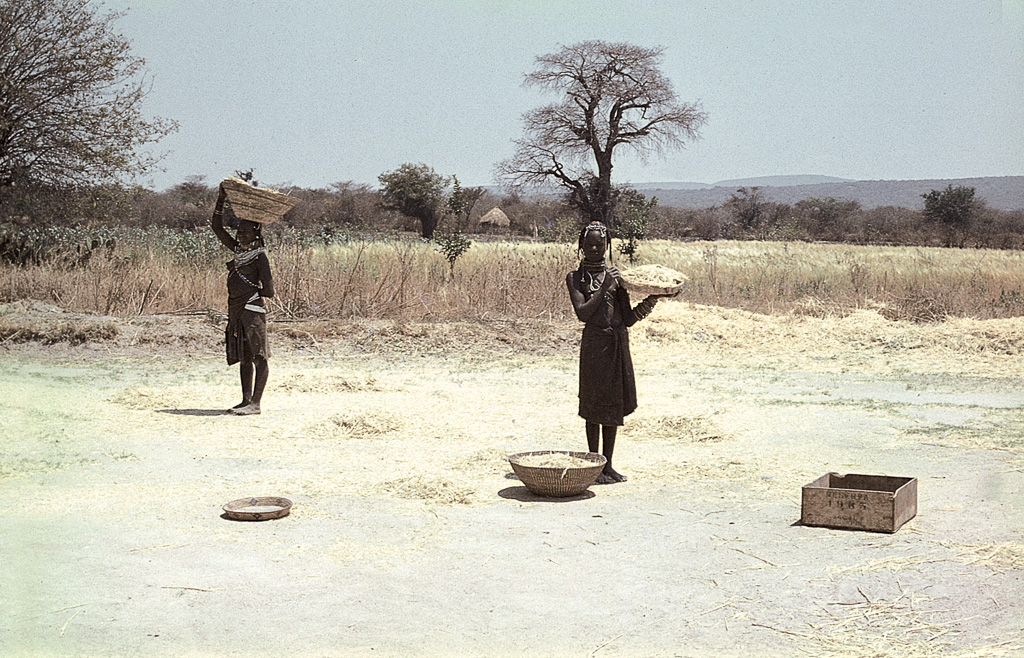 Planalto Central – nativas transportando mandioca (1967)