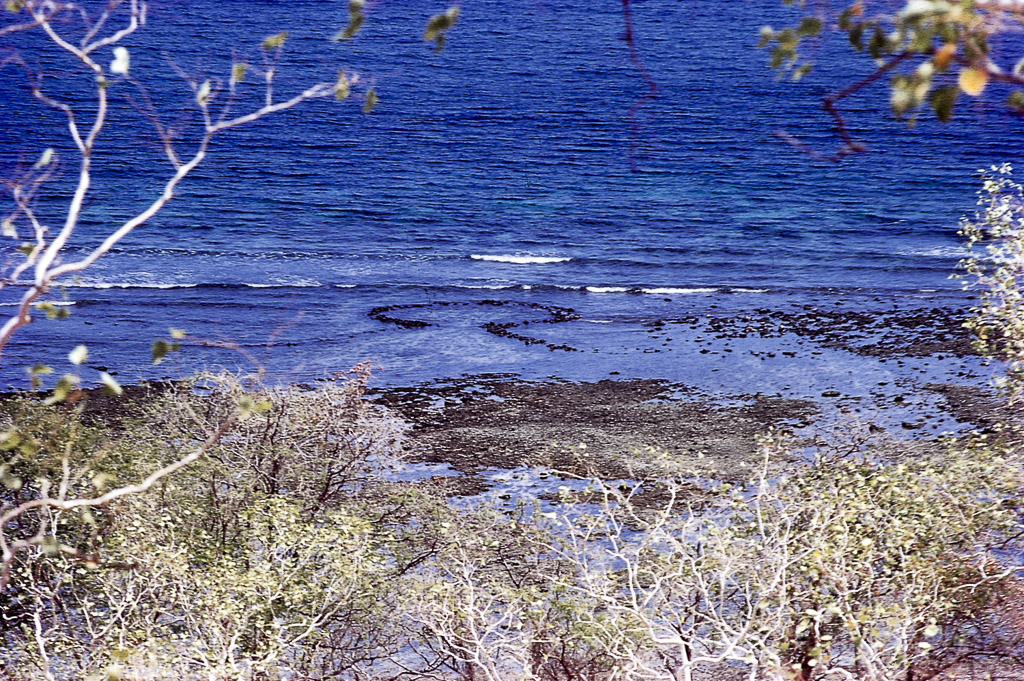 Plataforma litoral de corais (1973)