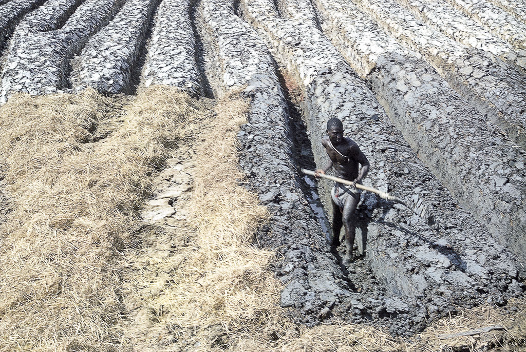 Preparaçao de terreno para arroz em chão de balanta - Guiné (1962)