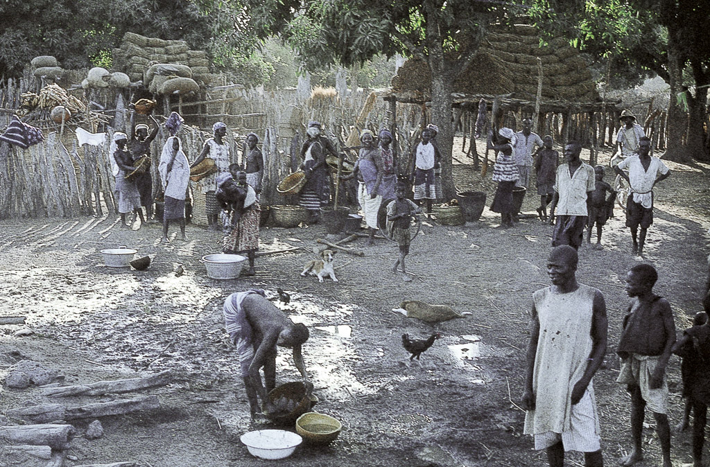 Preparando um almoço de festa numa tabanca do norte