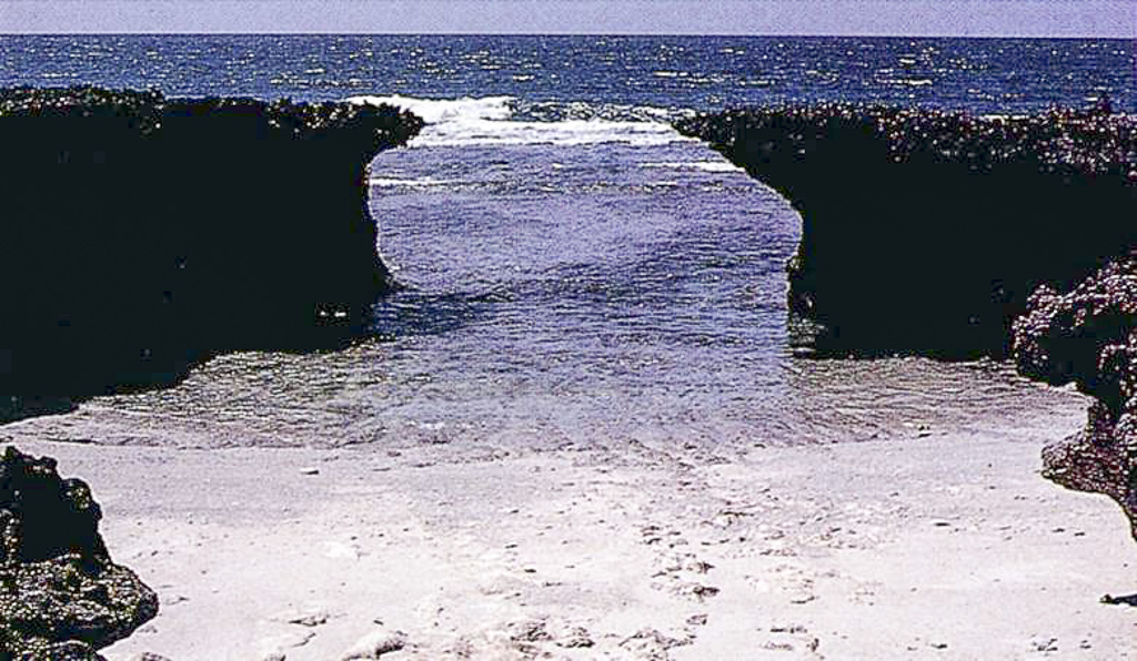 Recife de coral (1969)