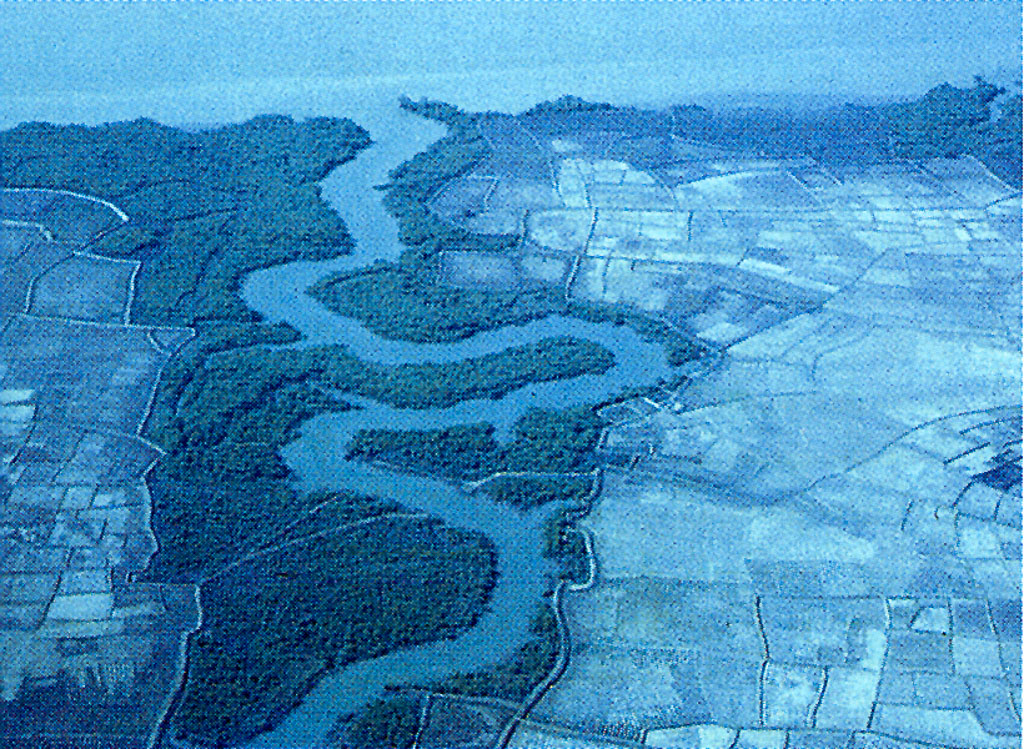 Rio Mansôa meandrisando entre mangal