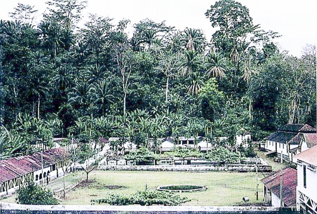 Roça Rio do Ouro, aspecto parcial (1965)