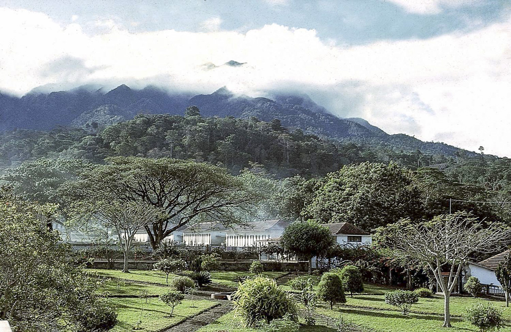 Roça Rio do Ouro, uma das maiores de São Tomé (1965)