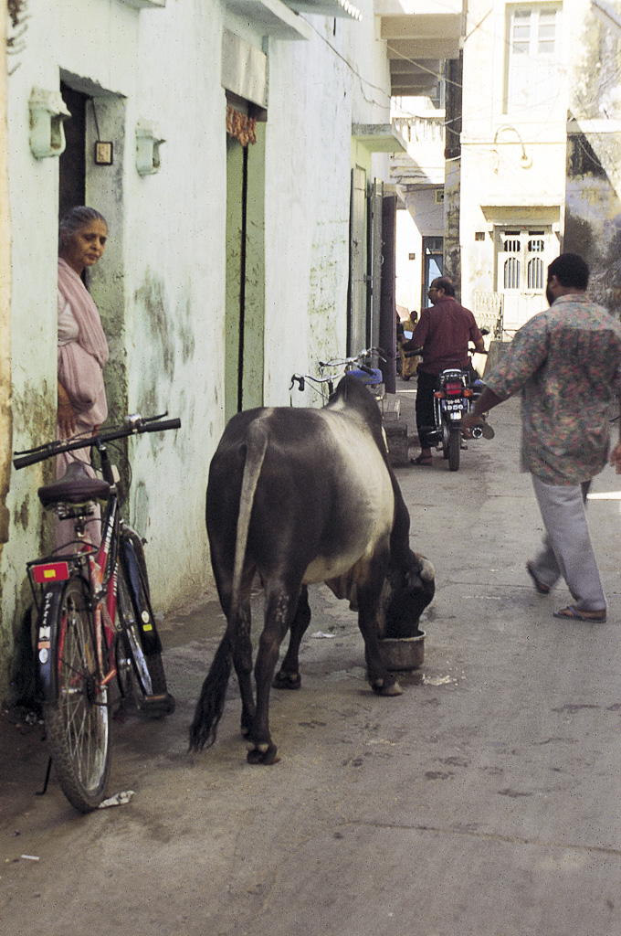 Rua da cidade de Diu (1995)