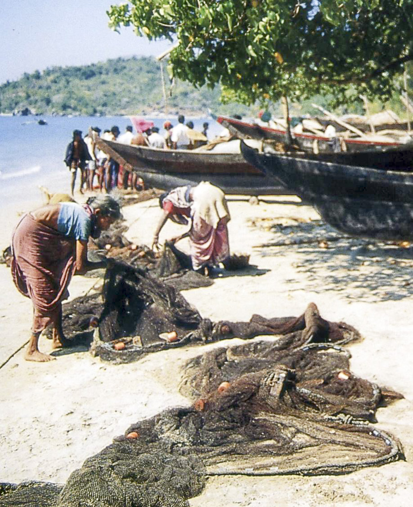 Salcete, Colvá - limpando as redes