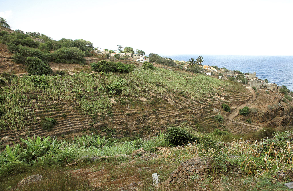 São Nicolau – terreno socalcado para cultura (2003)