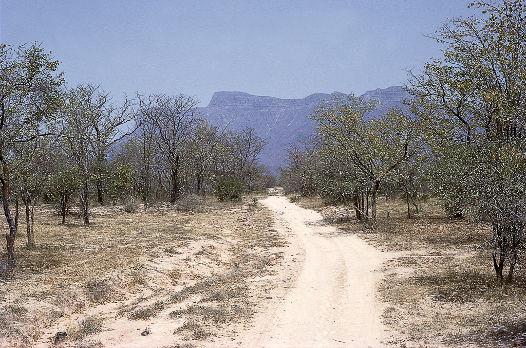 Savana arborizada, no sopé da Serra de Chela (1966)