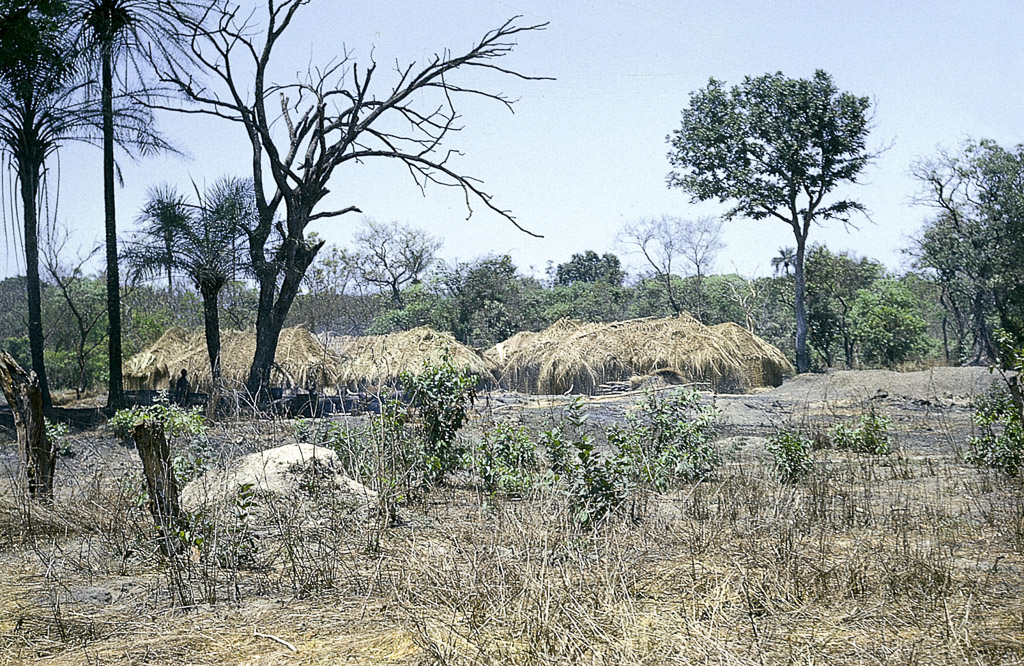 Tabanca fula, prestes a ser mudada, por esgotamento do terreno