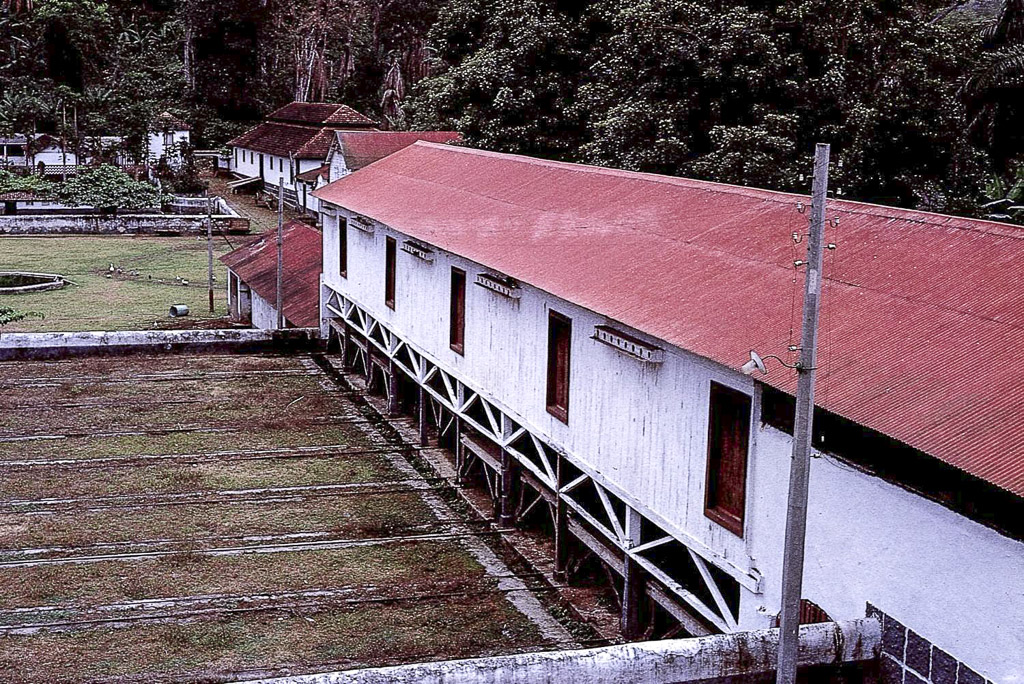 Tabuleiros para seca de cacau ao ar livre (1966)