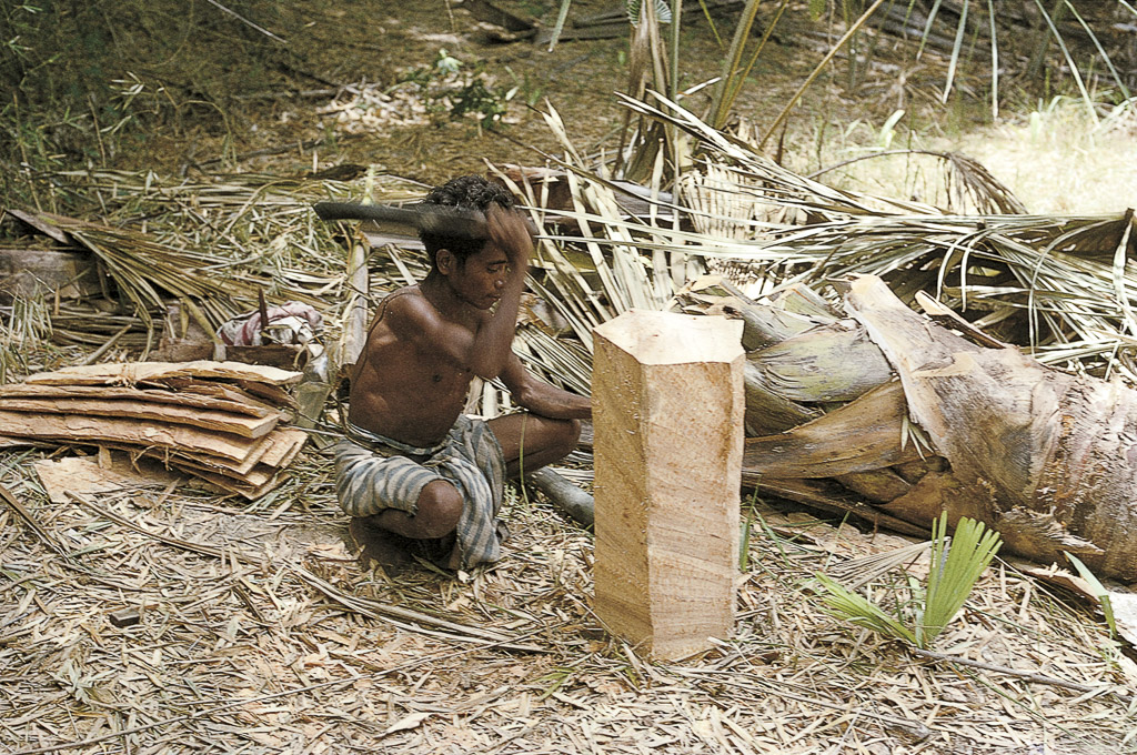 Trabalhando espiques de palmeiras (1971)